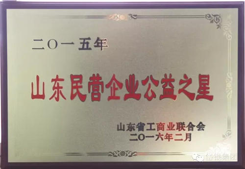 山東民營企業(yè)公益之星