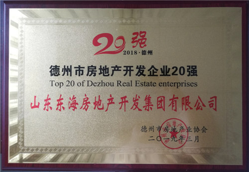 德州市房地產(chǎn)開發(fā)企業(yè)20強