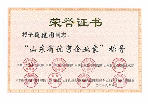 魏建國榮獲“山東省優(yōu)秀企業(yè)家”稱號