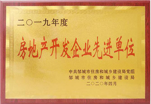 2019年度鄒城市房地產(chǎn)開發(fā)企業(yè)先進單位