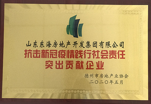 抗擊新冠疫情踐行社會責任突出貢獻企業(yè)