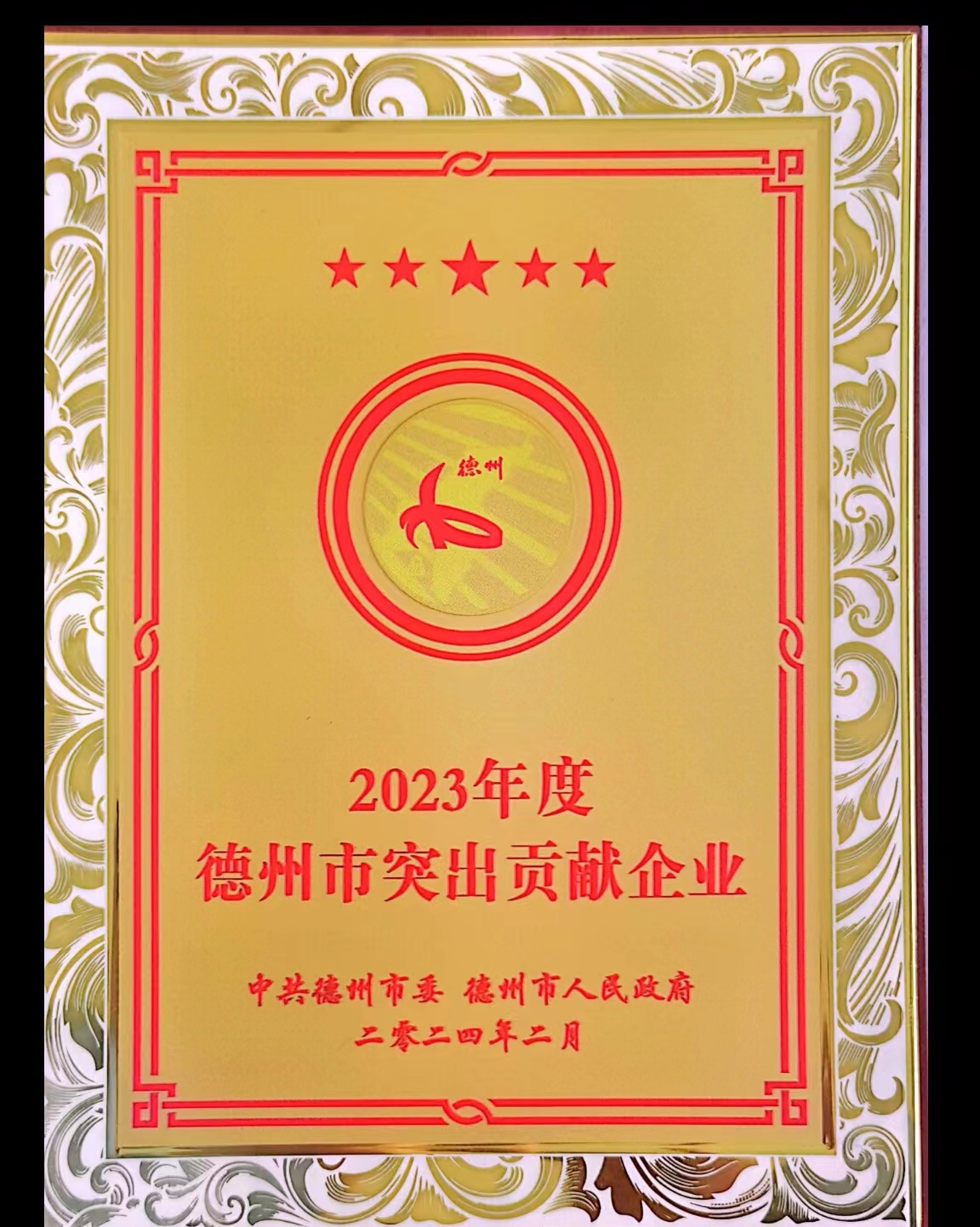 2023年度德州市突出貢獻企業(yè)